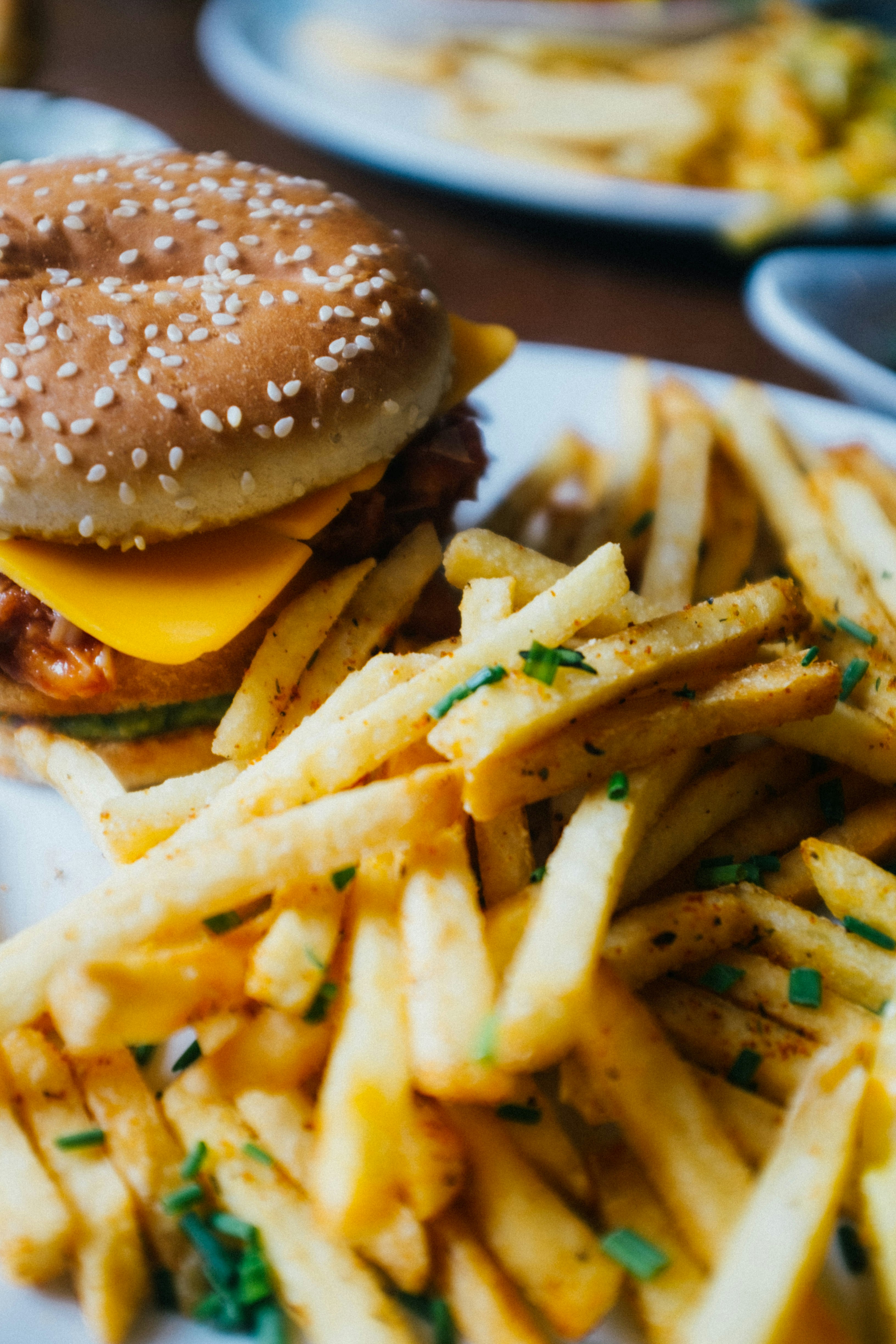 hamburger and french fries